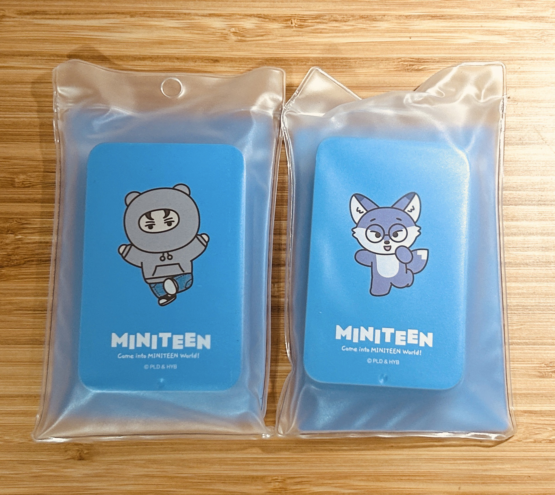 SEVENTEEN MINITEEN 鐵盒貼紙組 圓率