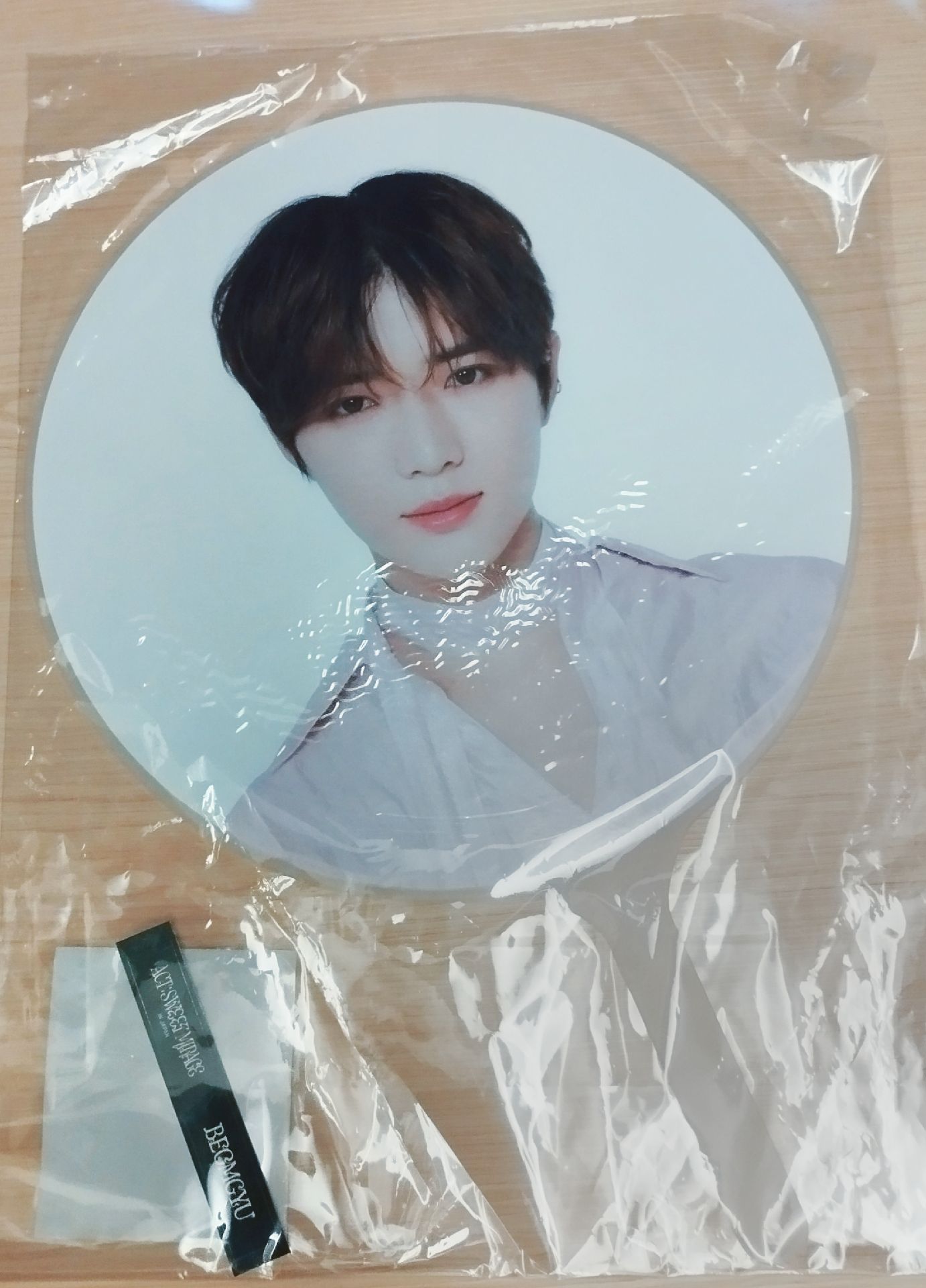 23‘巡迴 圭 大扇 (僅上圖扇子)