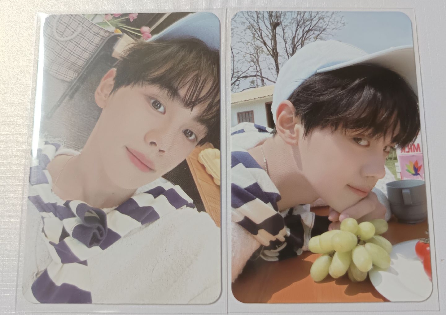 ZB1 二期會員 會員禮卡 奎