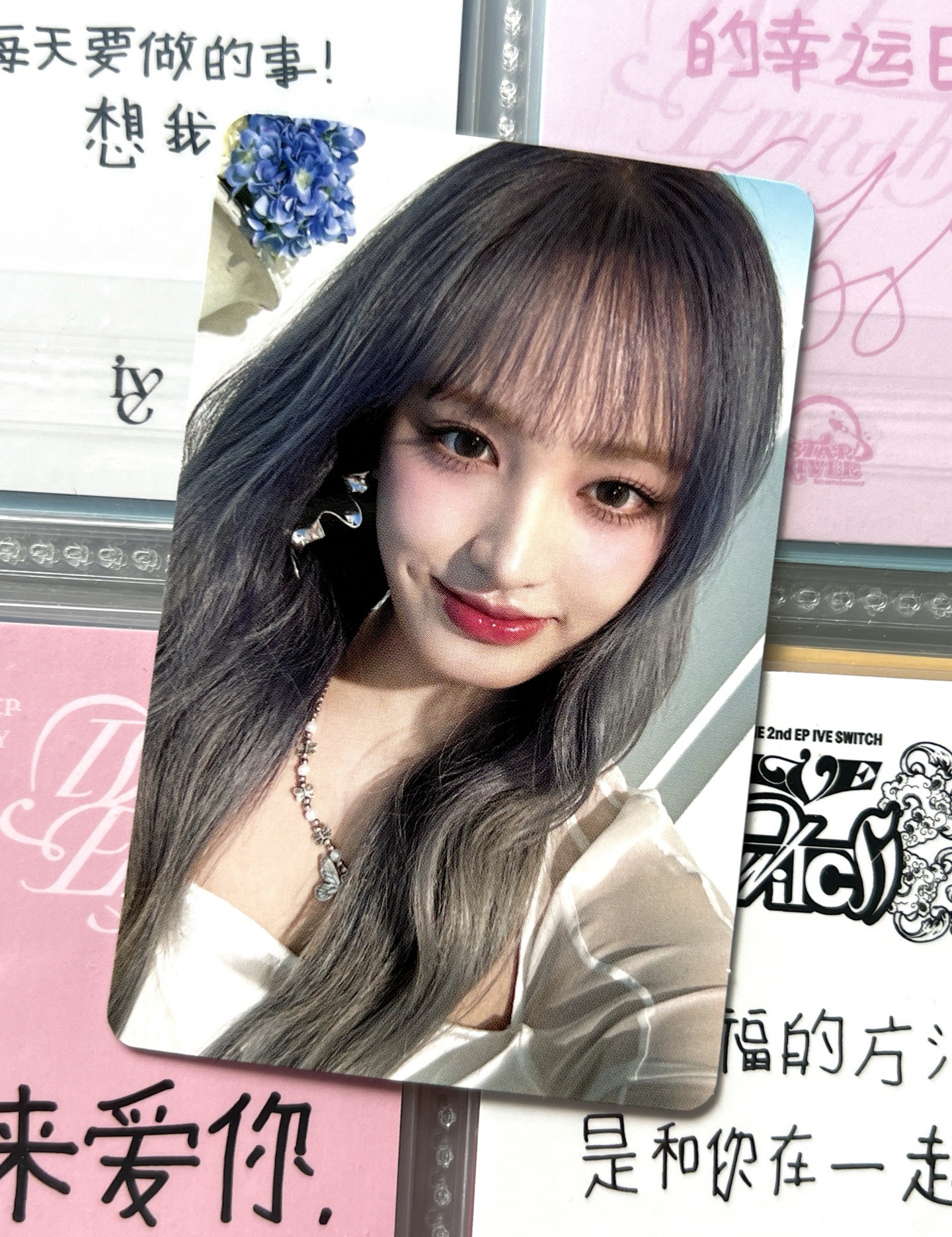 B盤栗 嘴巴有廠損