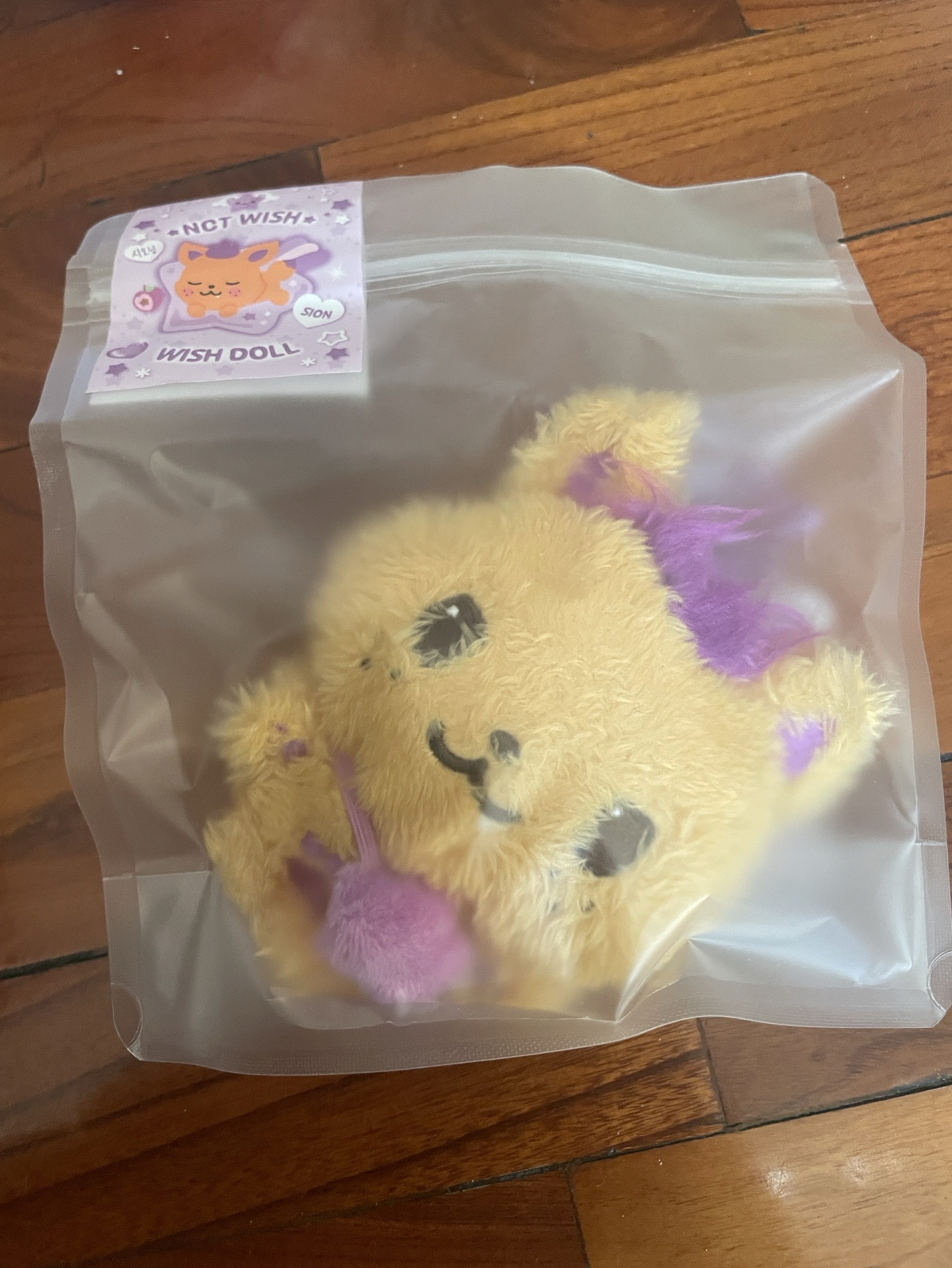 nct wish sion原皮娃娃 +夏日會展衣服