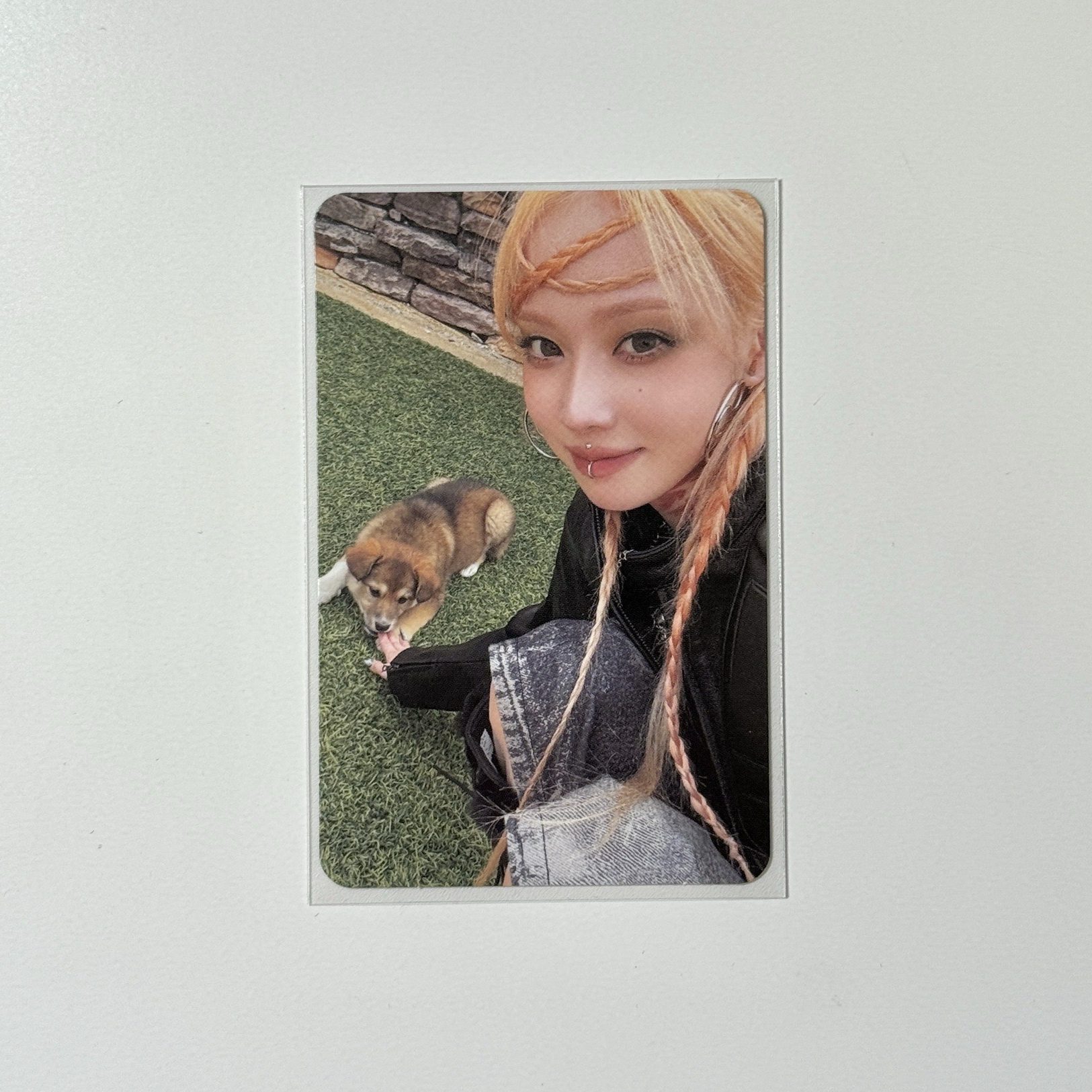 🩵正規一 zine專卡冬