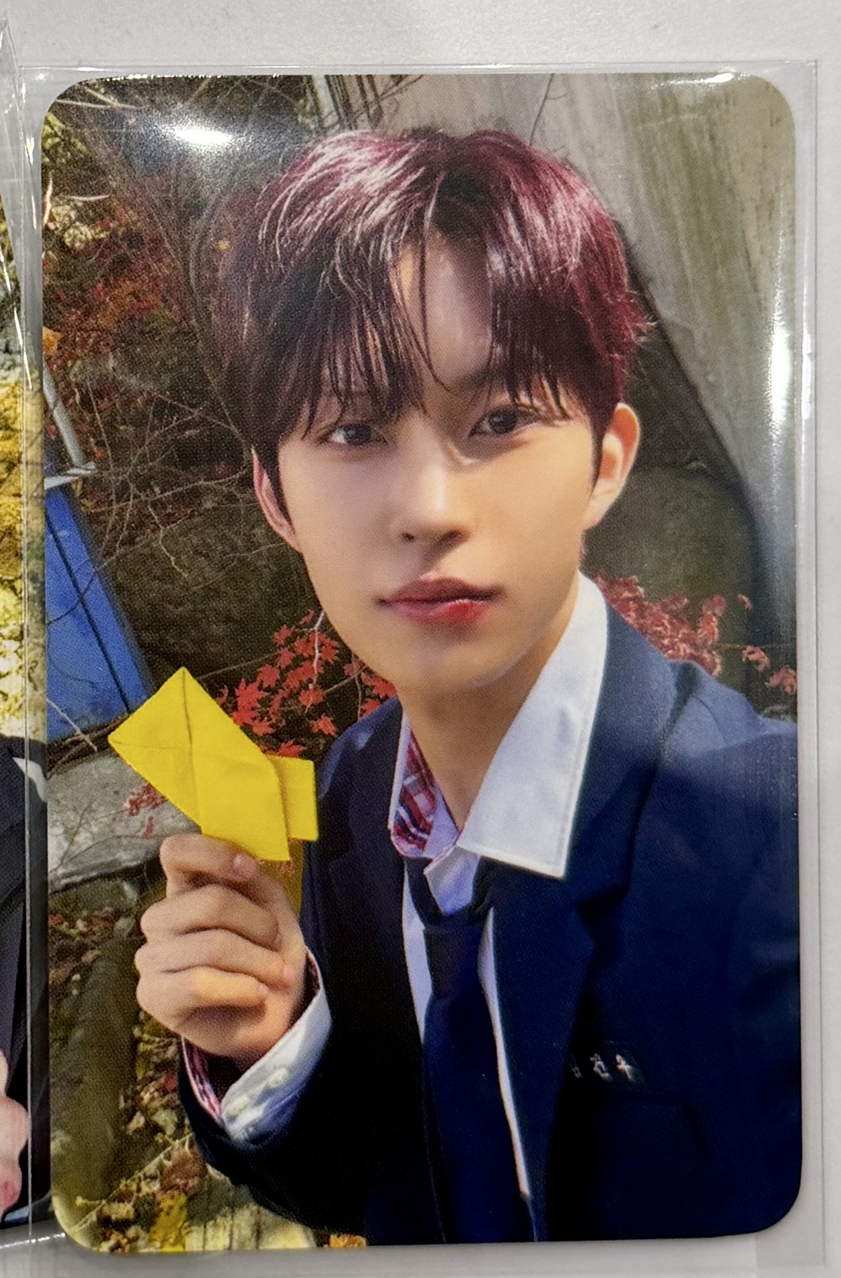 現貨/ALD1 出道秀預錄特典卡（虔佑）✨