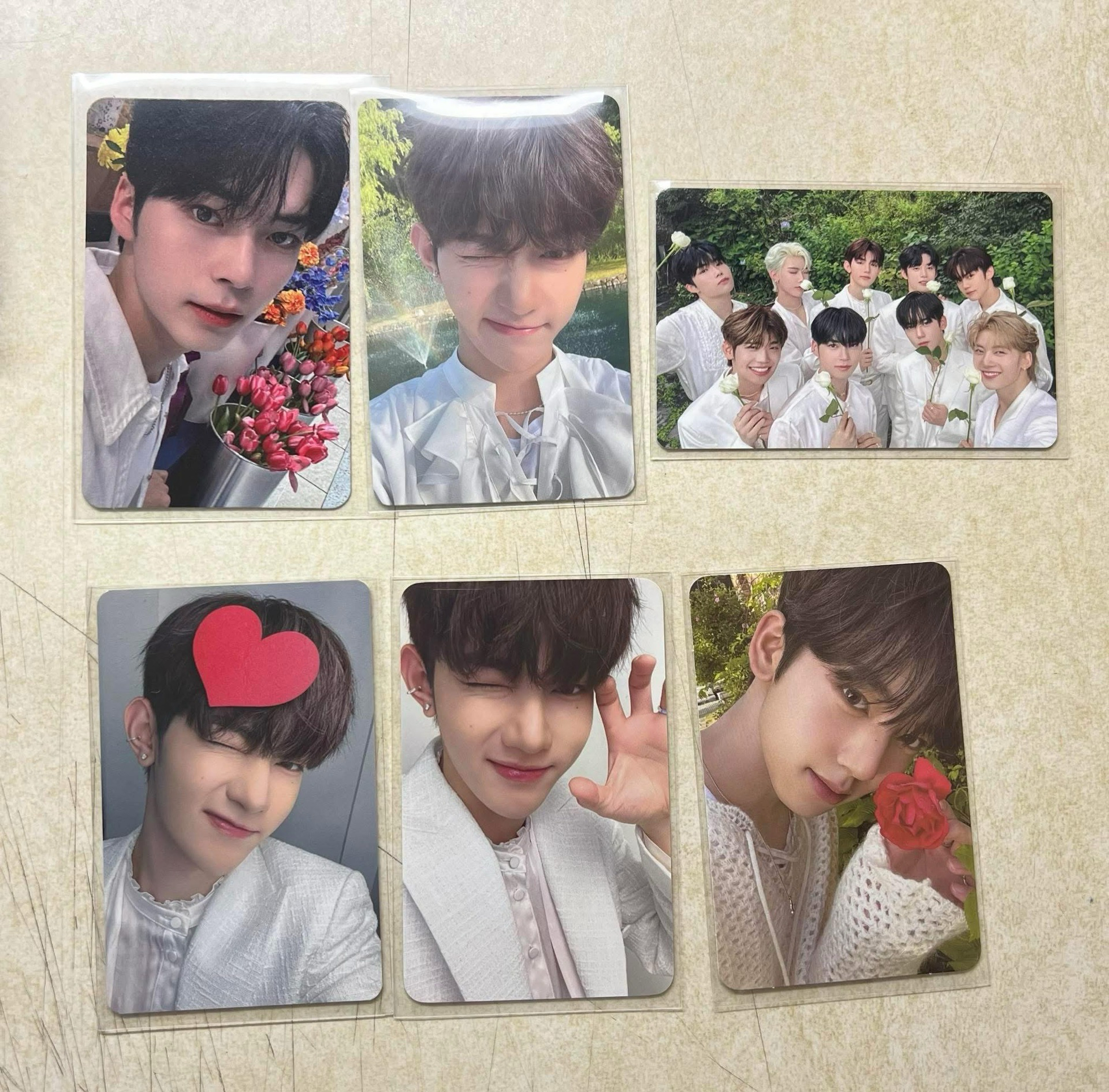 ZB1 小卡 韓彬 章昊 維辰 團卡