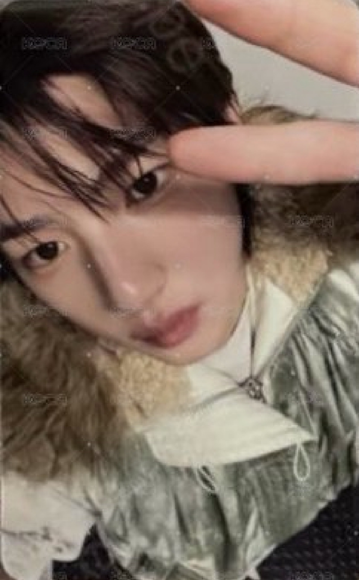 迷一 ma 特典卡 2025年末禮