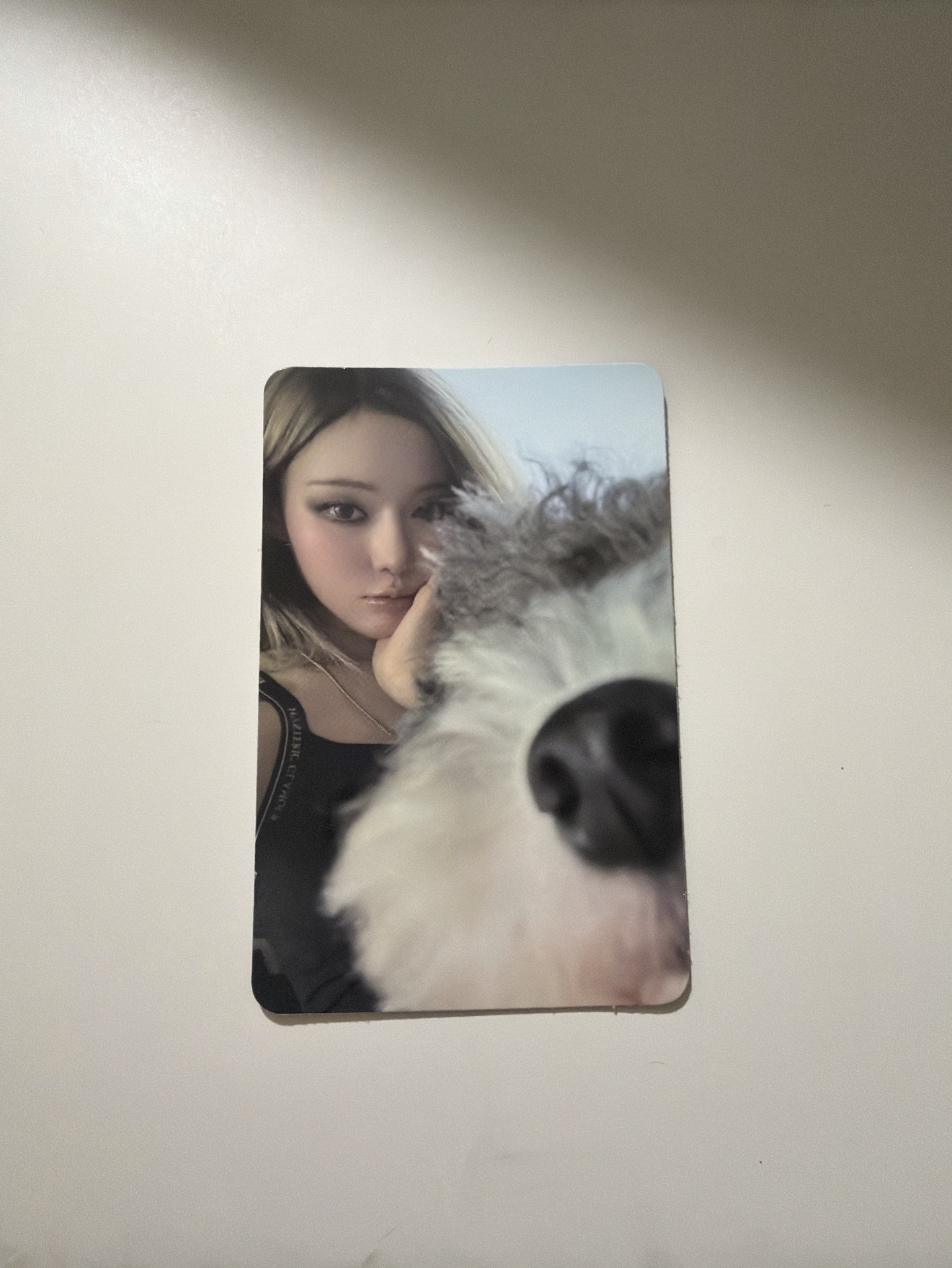 Rich man吉他專小卡！