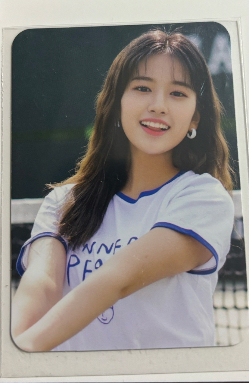 舊DICON 雜誌卡 韓版 安俞真