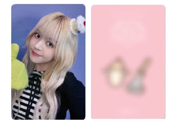 動物塑+泡菜+麻糬+未發行+蛋糕