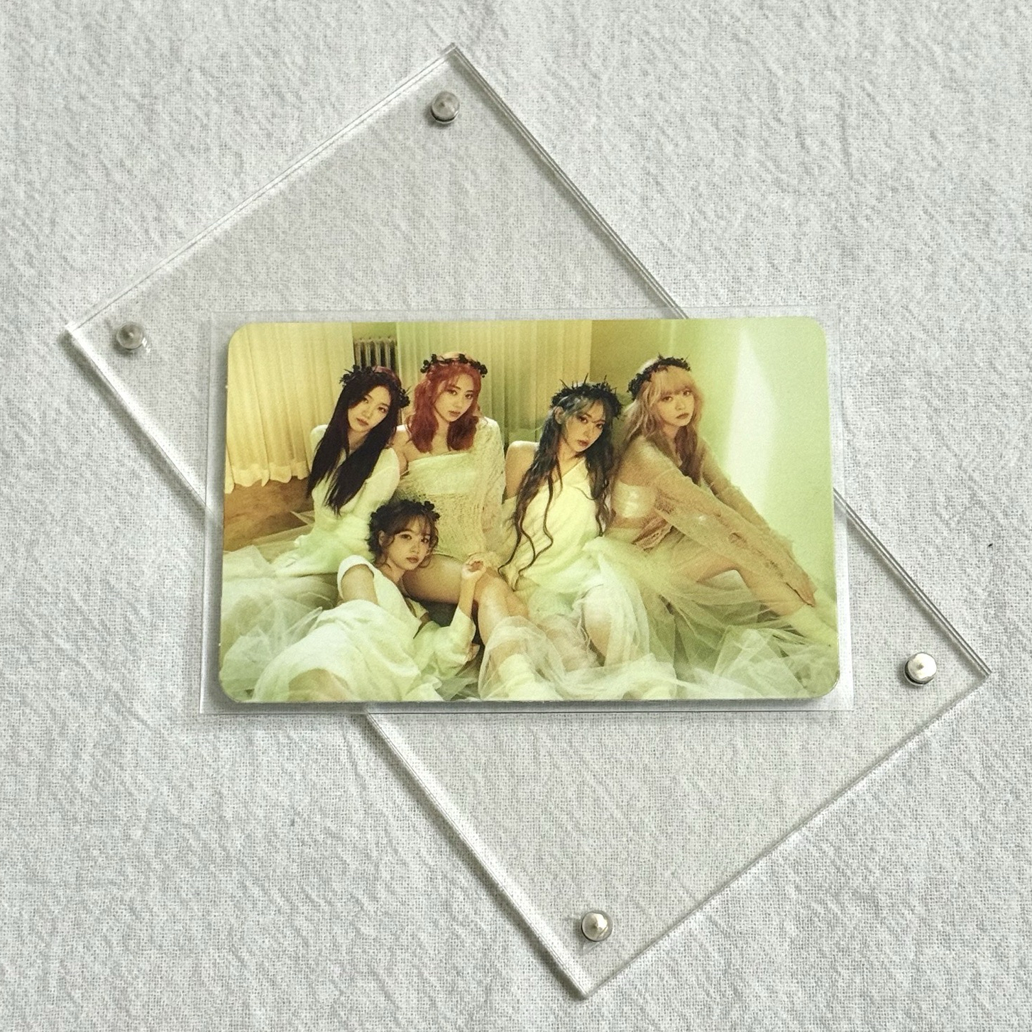 EASY ms 預售 特典卡 團卡