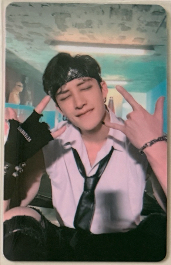 MAXIDENT PVC卡 100(200)