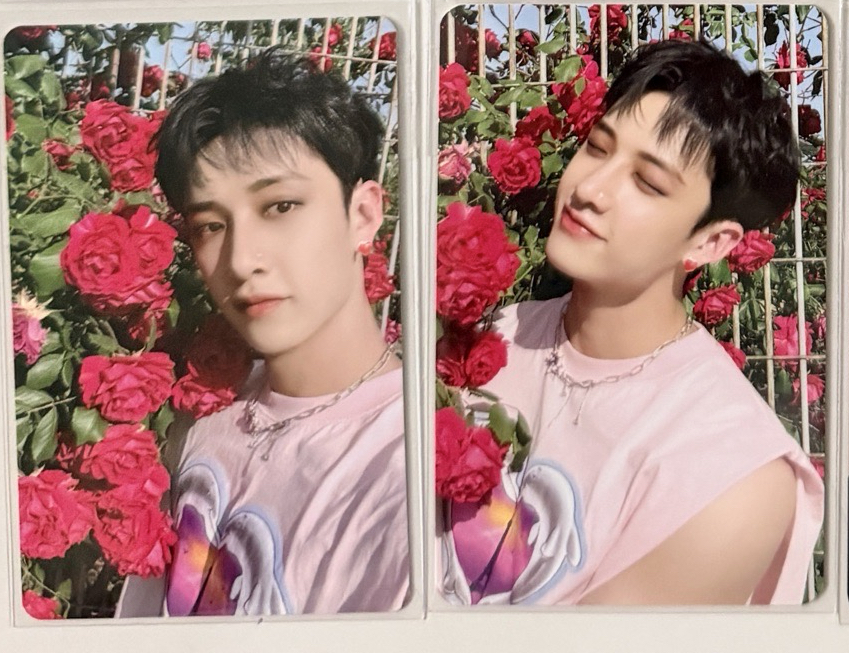 MAXIDENT 兩張不拆