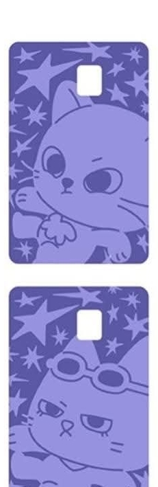 BBNEXDO 卡貼 catbbi han tatpung 