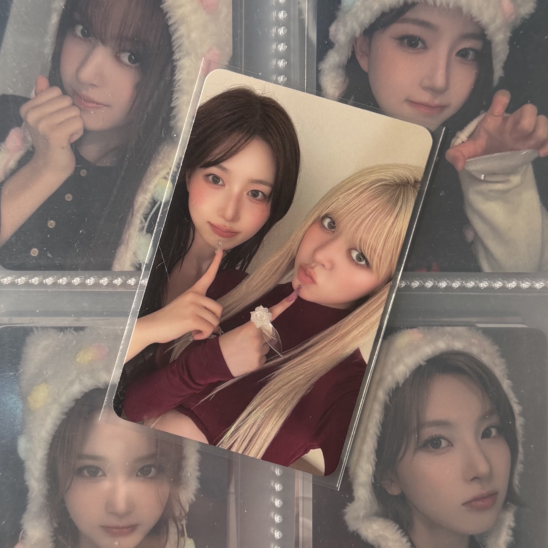 正規一 專卡 莉嫄