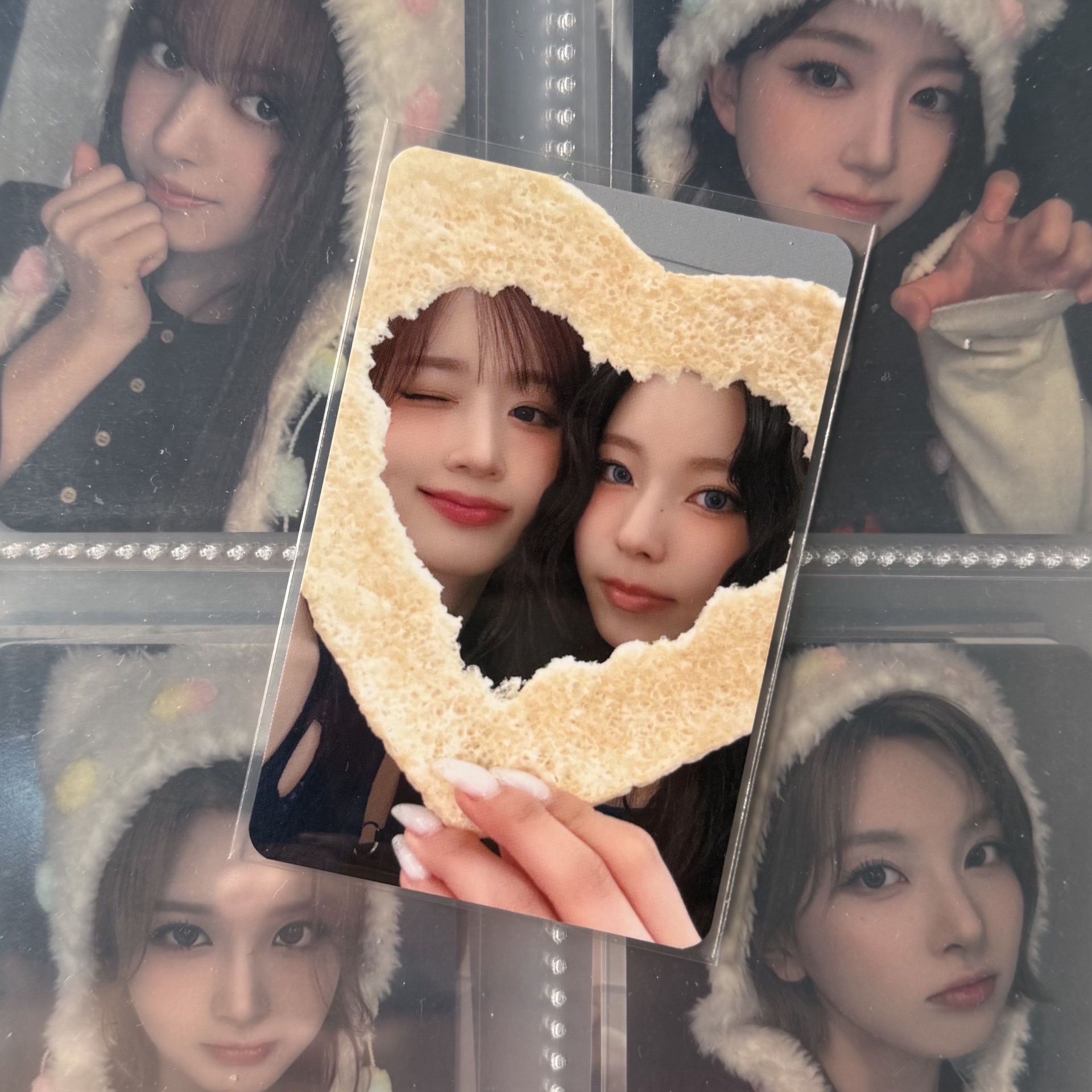 FORWARD ms米餅 嫄圭