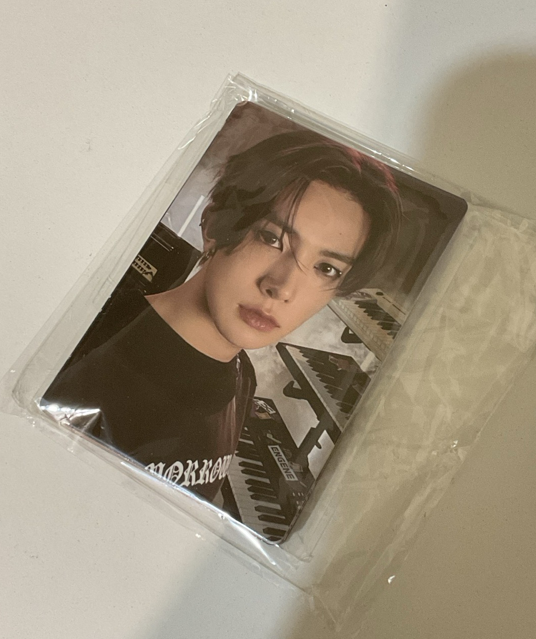 五期會員禮（全員）