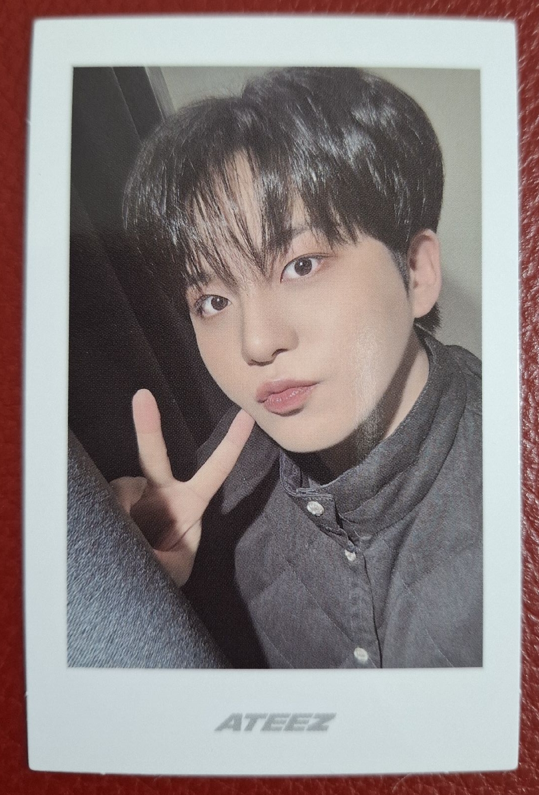 檸檬專 鍾浩拍立得