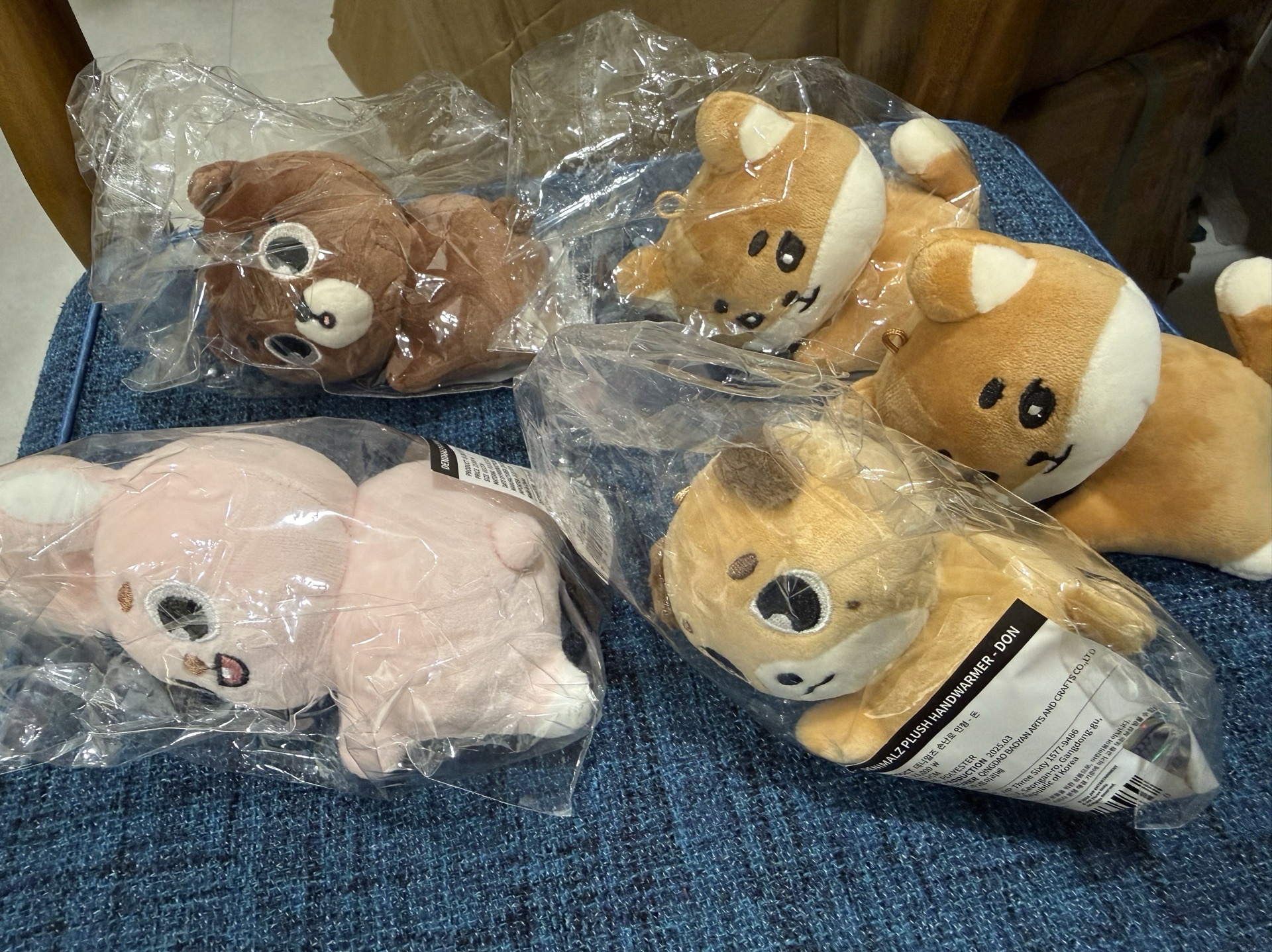 DAY6 DENIMALZ 暖手娃 2024 The Present