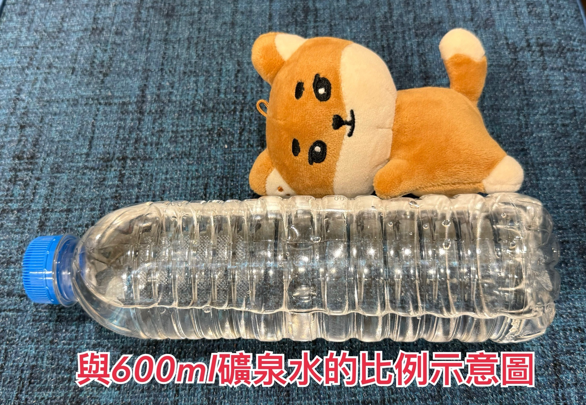 DAY6 DENIMALZ 暖手娃 2024 The Present