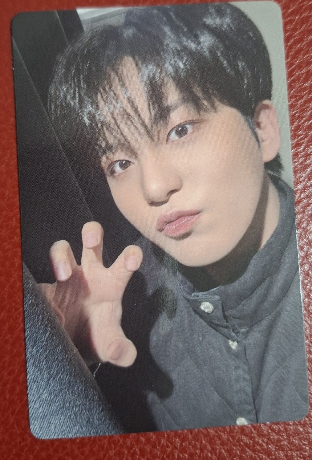 熊爪爪🐻檸檬專卡