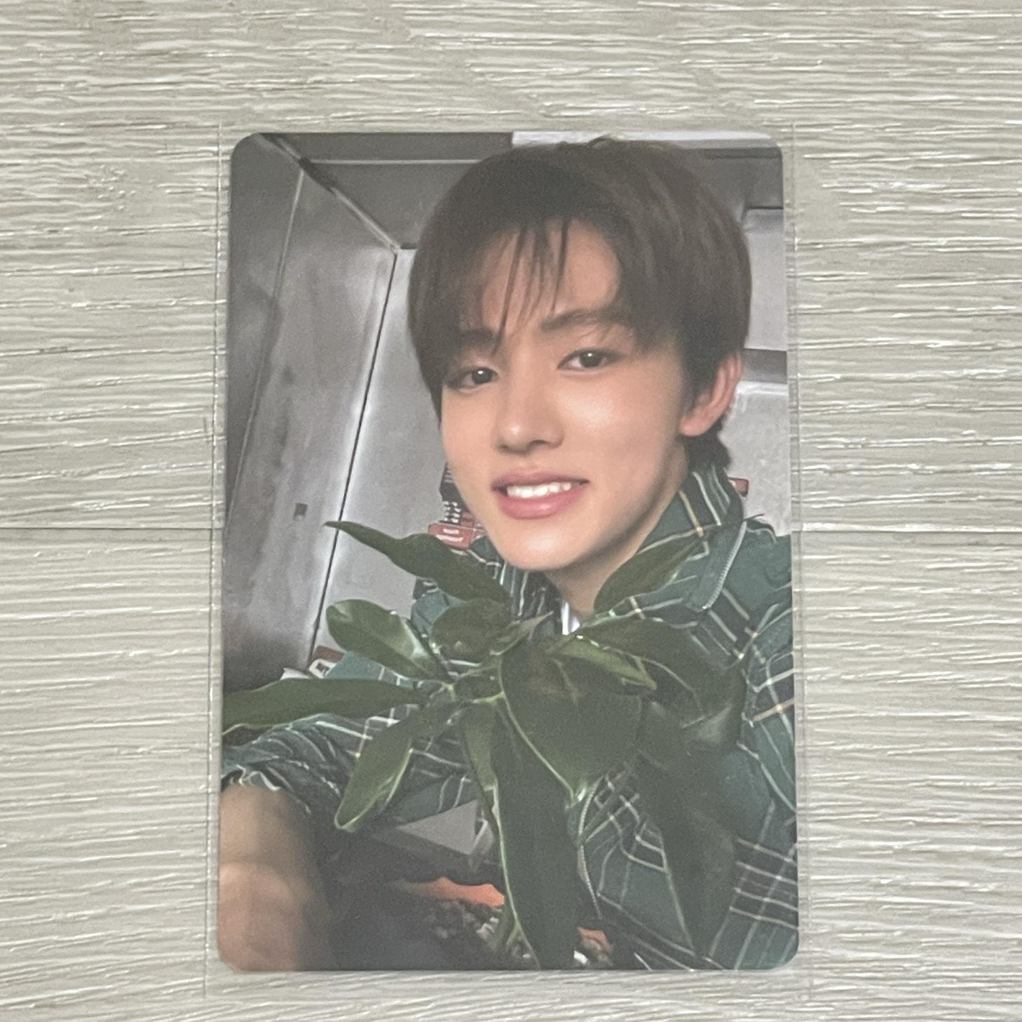 Cortis 26年曆 固配卡玹