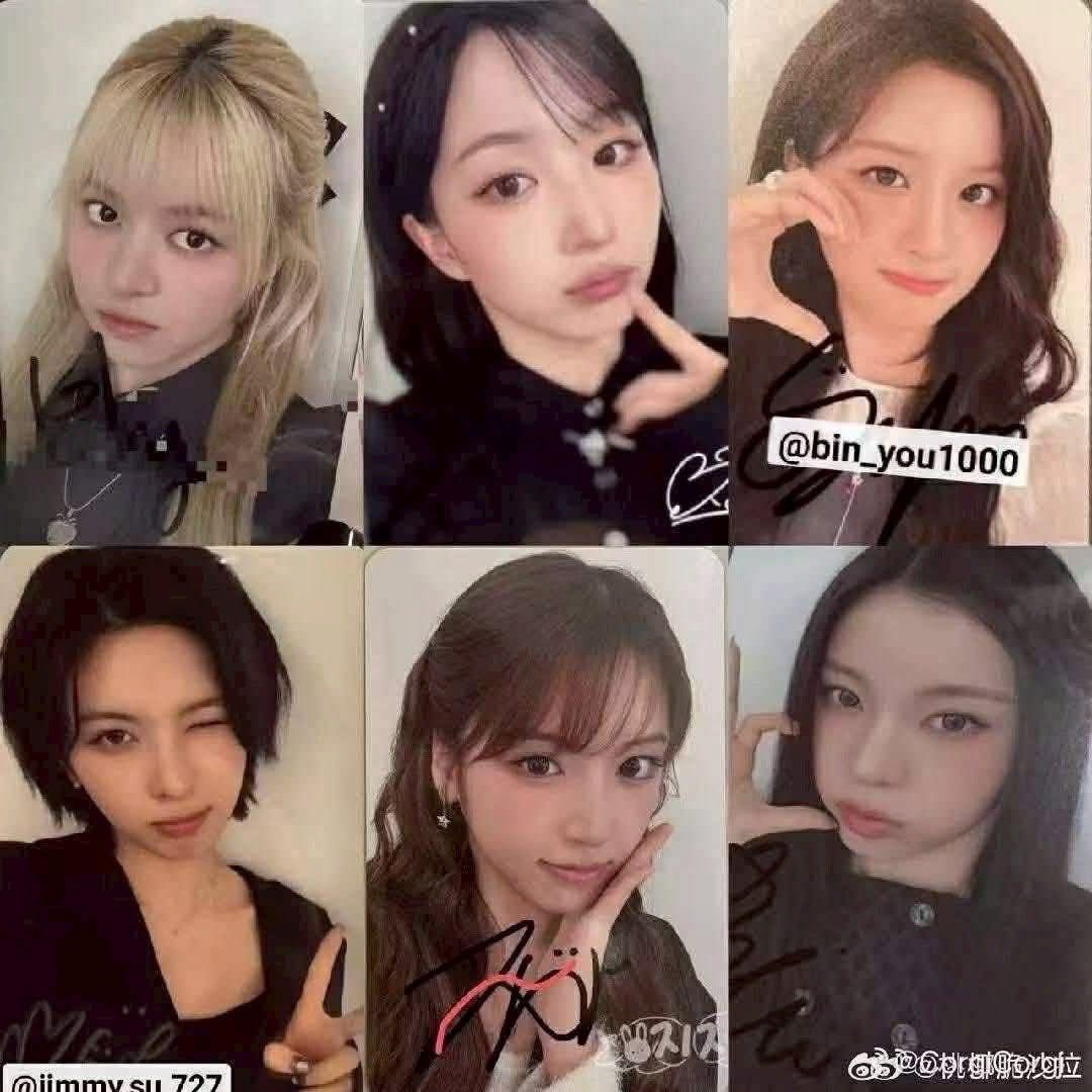 Ms 台北 合影 嫄薛裴友