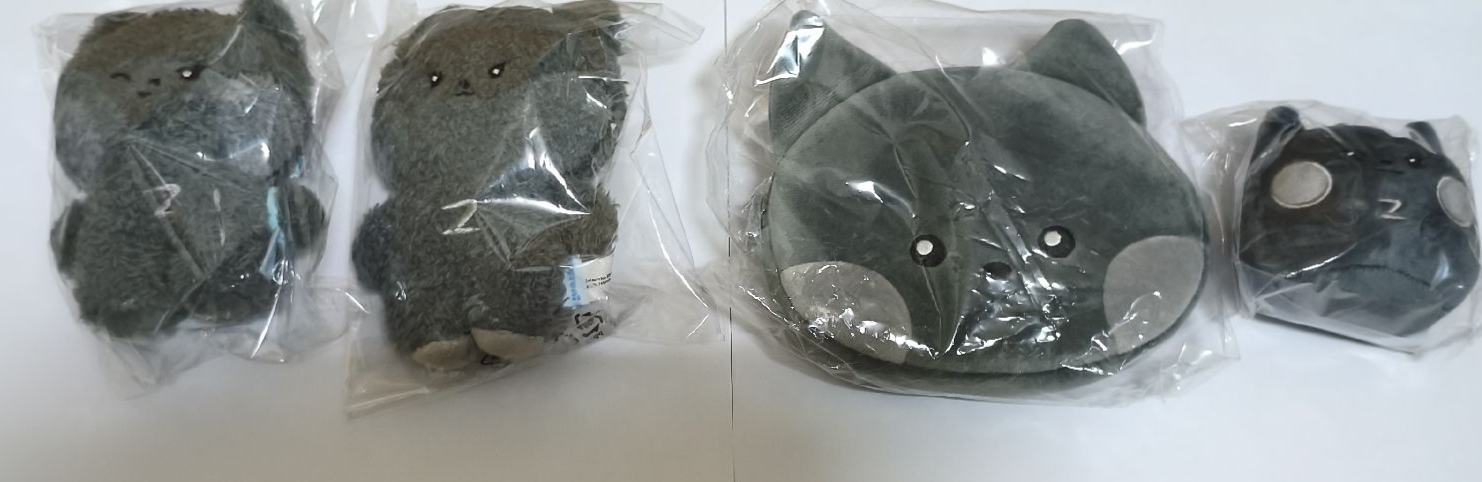 ZB1 | 雄盤 | 🚫不拆售🚫 直拍贈親簽