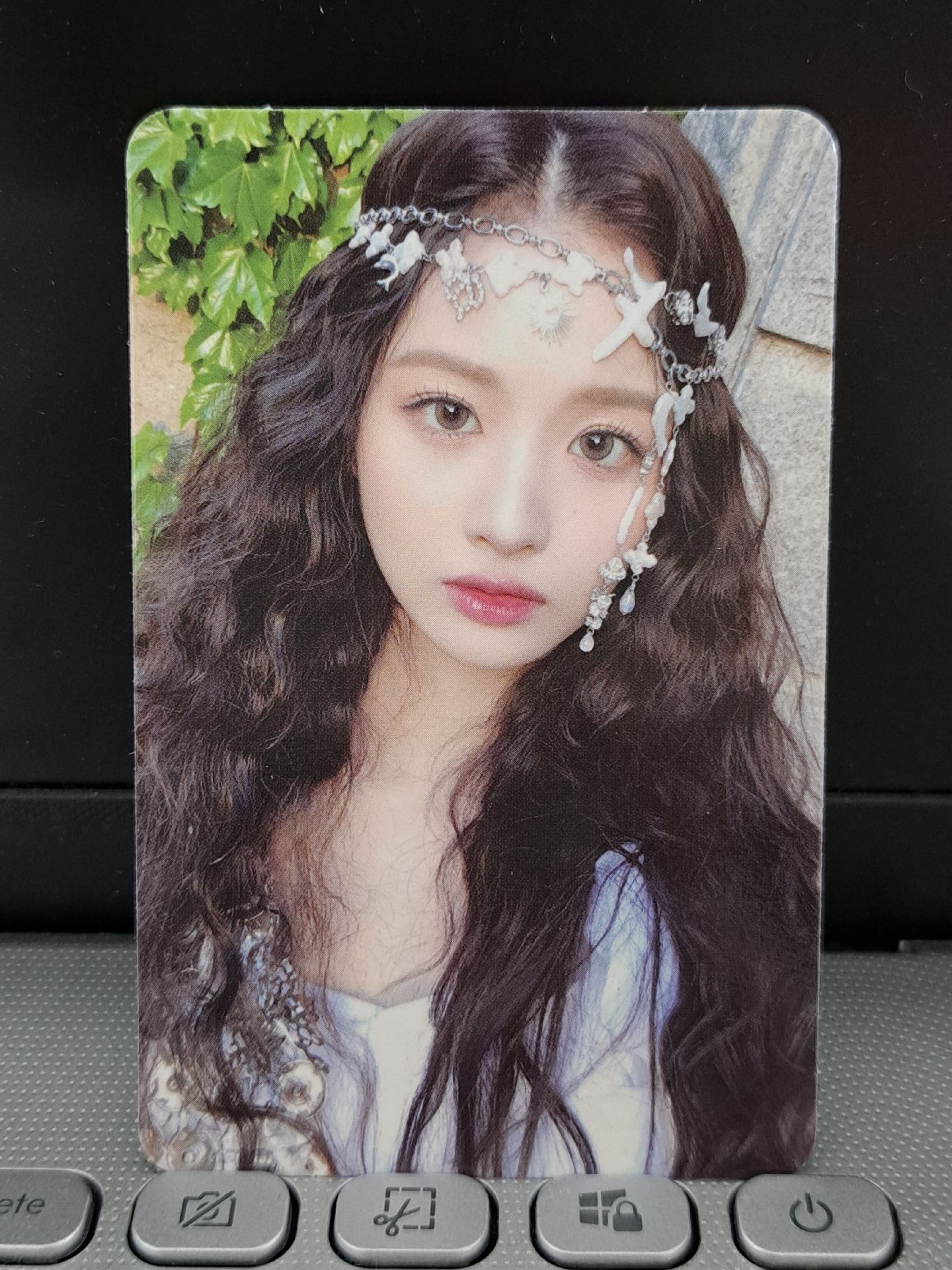 仲夏夜 森林版 花神薛