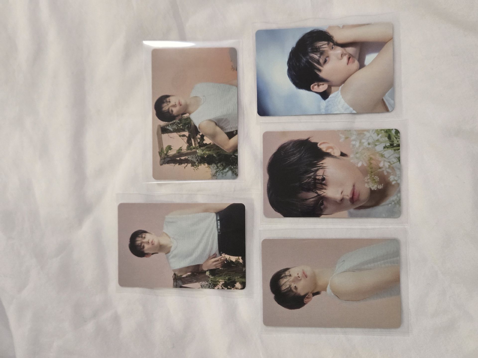 日巡卡包卡 買就送紙花