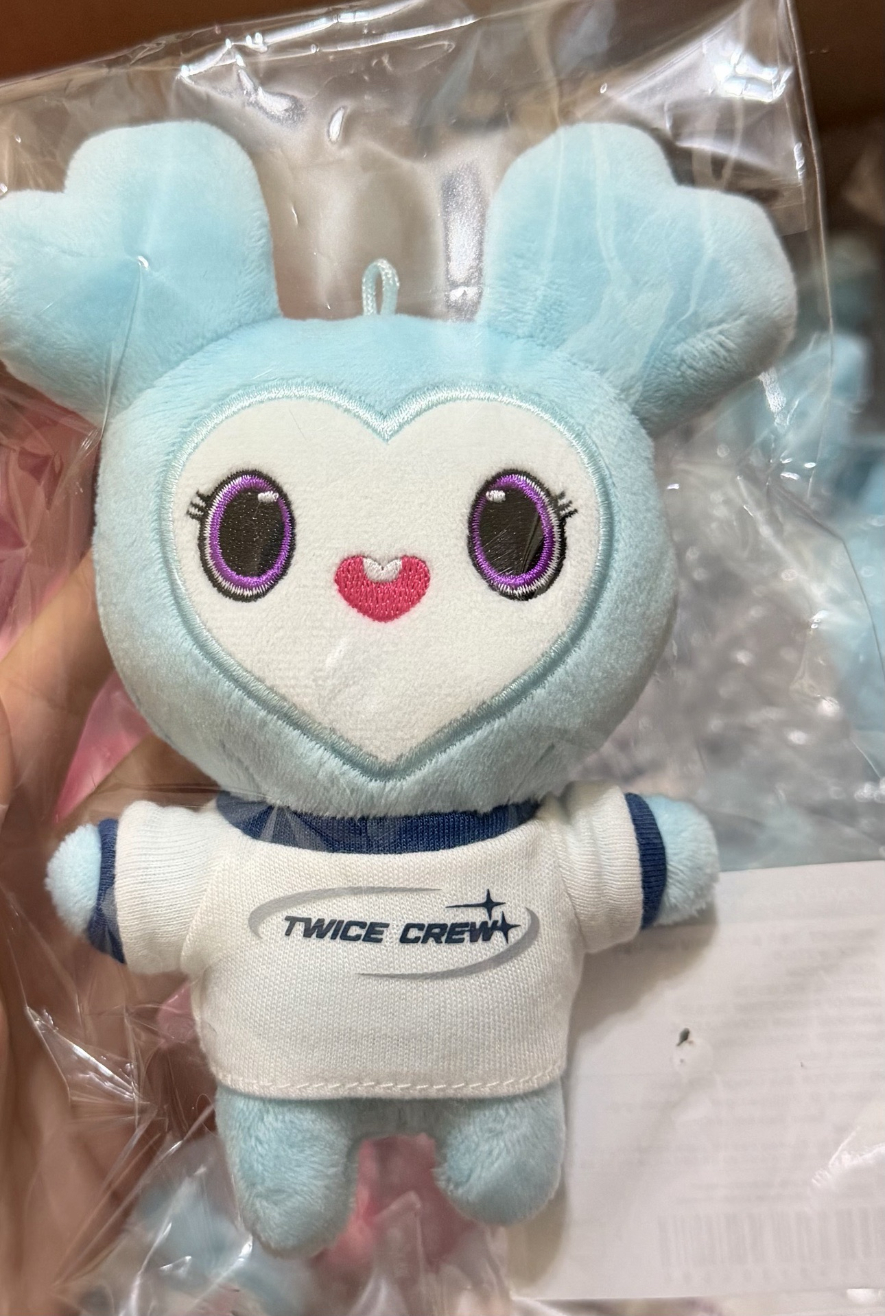 現貨 全新十週年娜璉娃娃