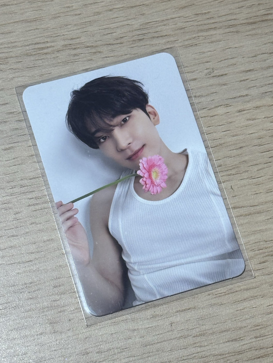 SEVENTEEN 精選專 克拉盤專卡 全圓佑