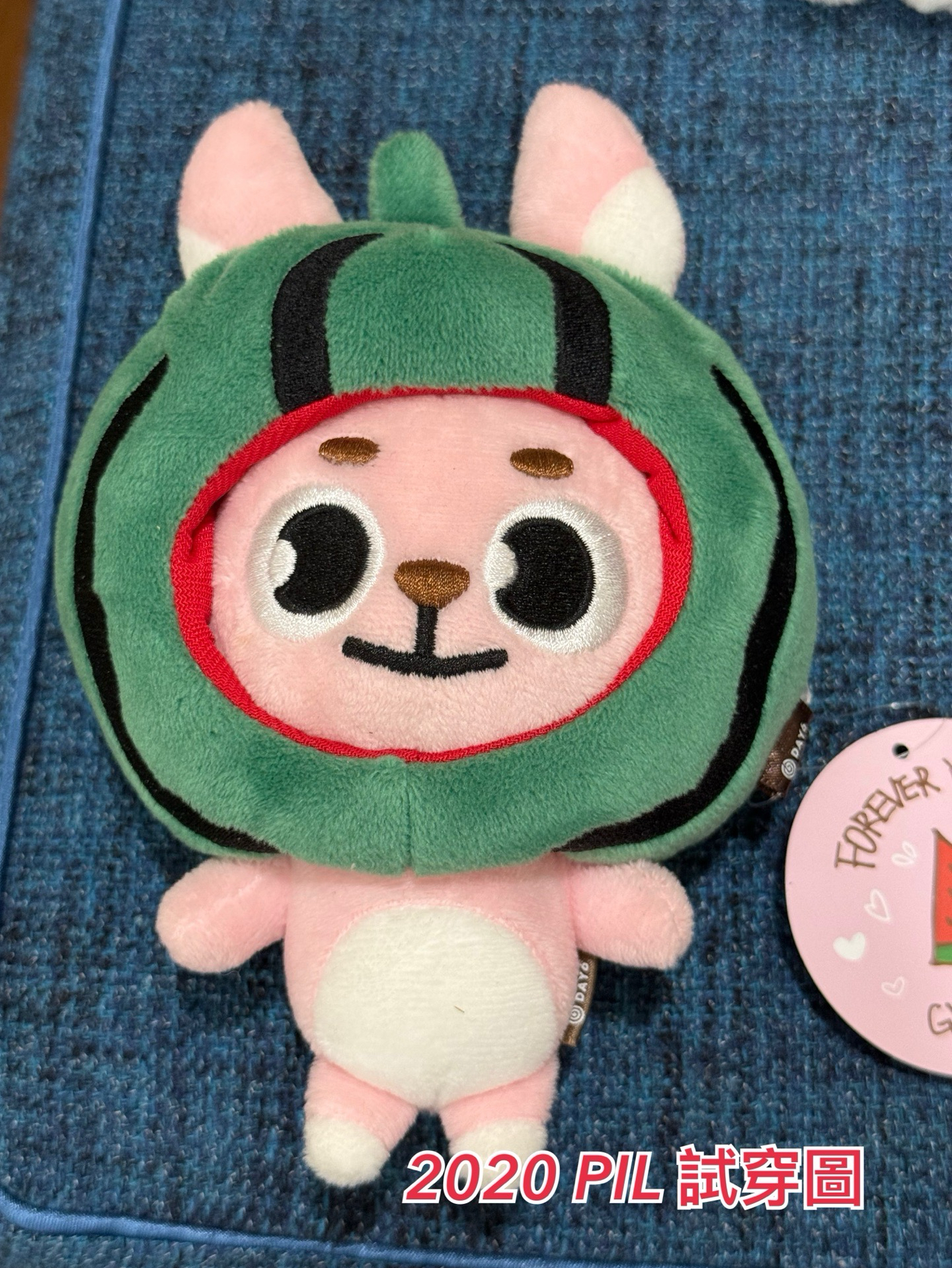 DAY6 娃衣 頭套 西瓜 餃子 吐司 FOREVER YOUNG 地方場週