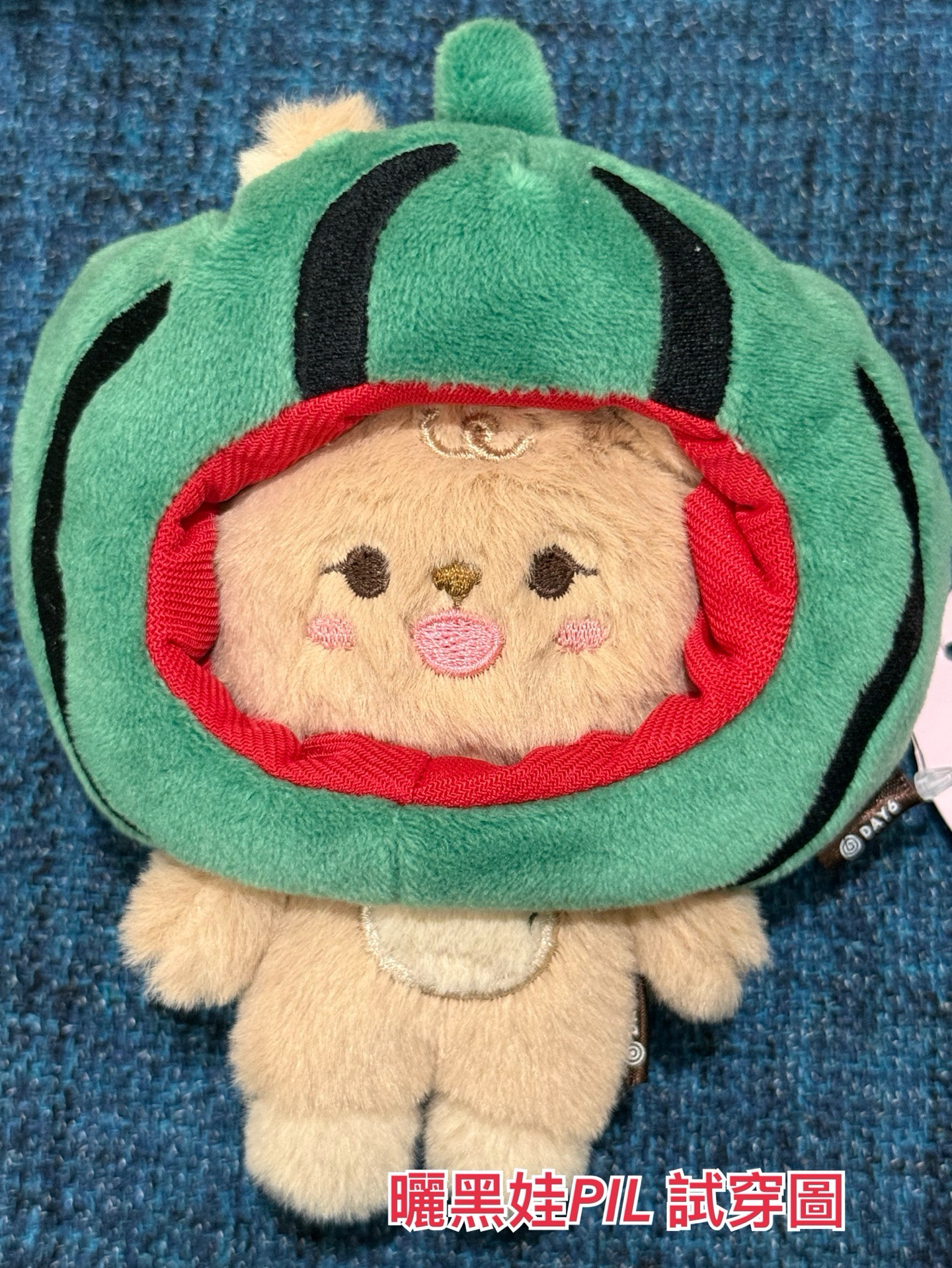 DAY6 娃衣 頭套 西瓜 餃子 吐司 FOREVER YOUNG 地方場週