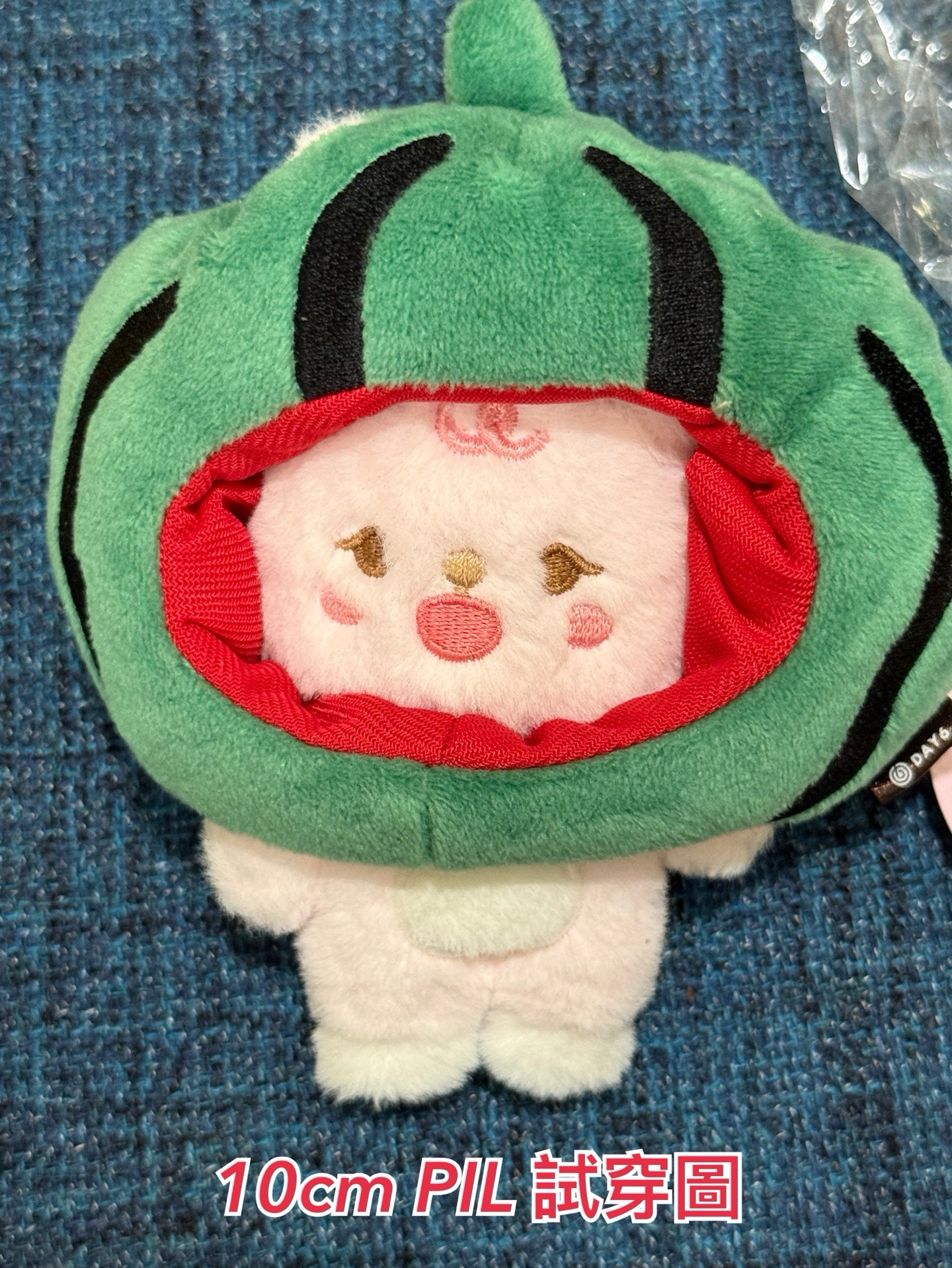 DAY6 娃衣 頭套 西瓜 餃子 吐司 FOREVER YOUNG 地方場週