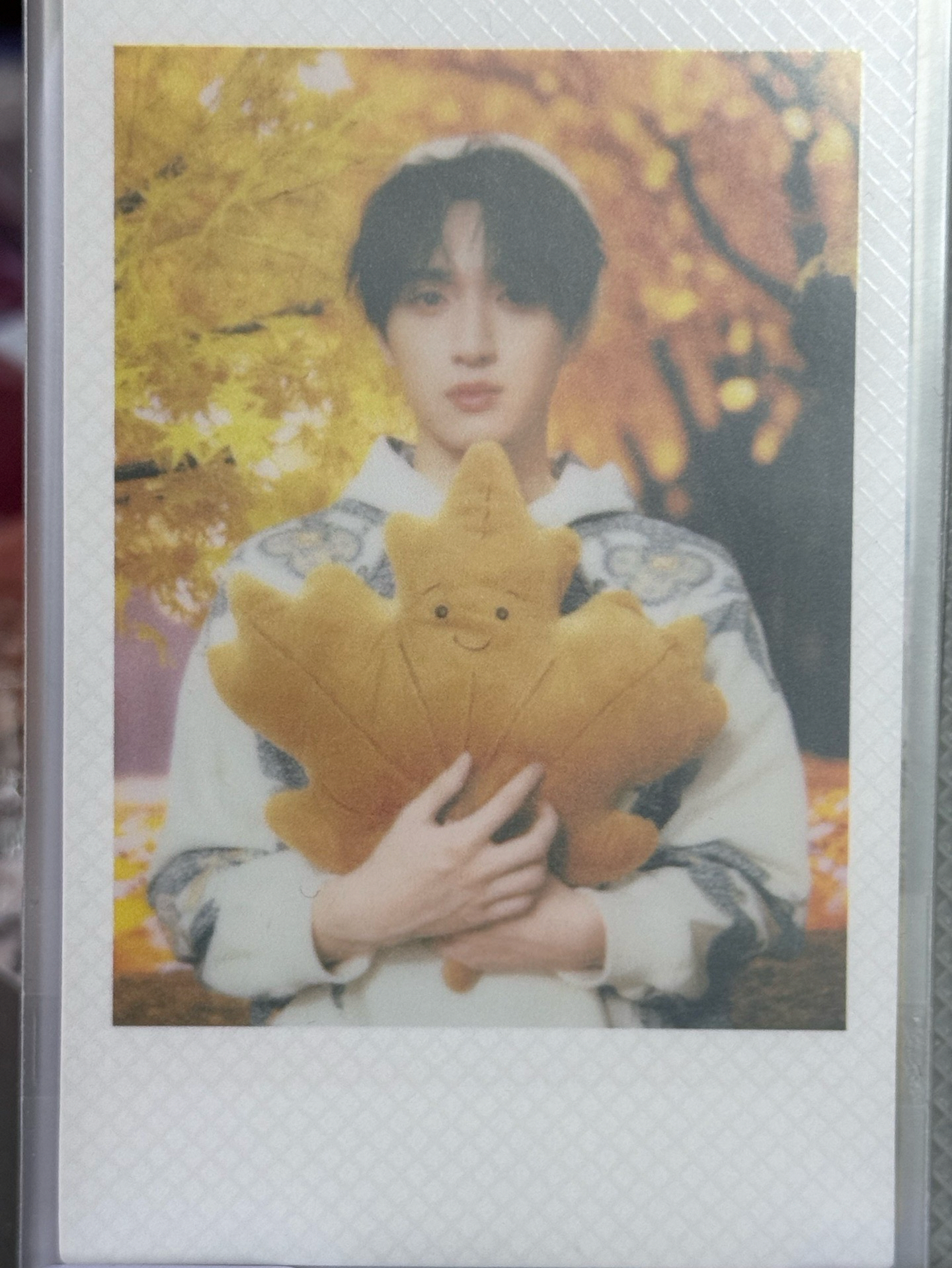 秋日記憶 嚴浩翔單人卡