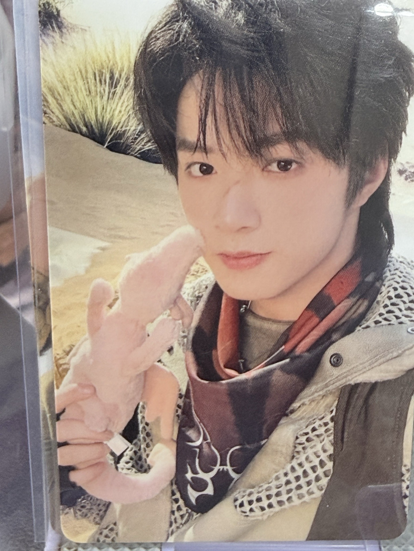 秋日記憶 刘耀文團固卡