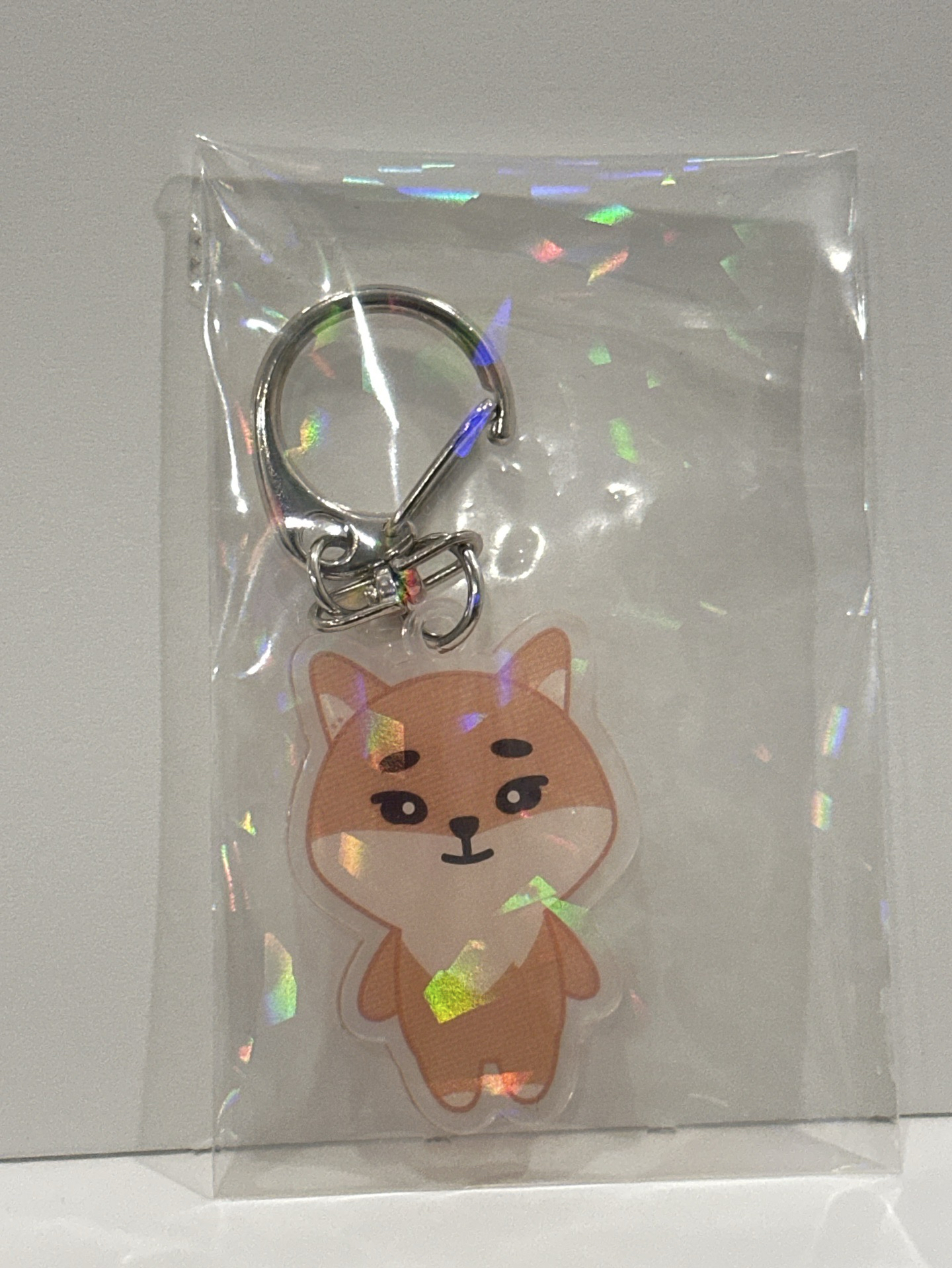 Ke 隨機壓克力吊飾