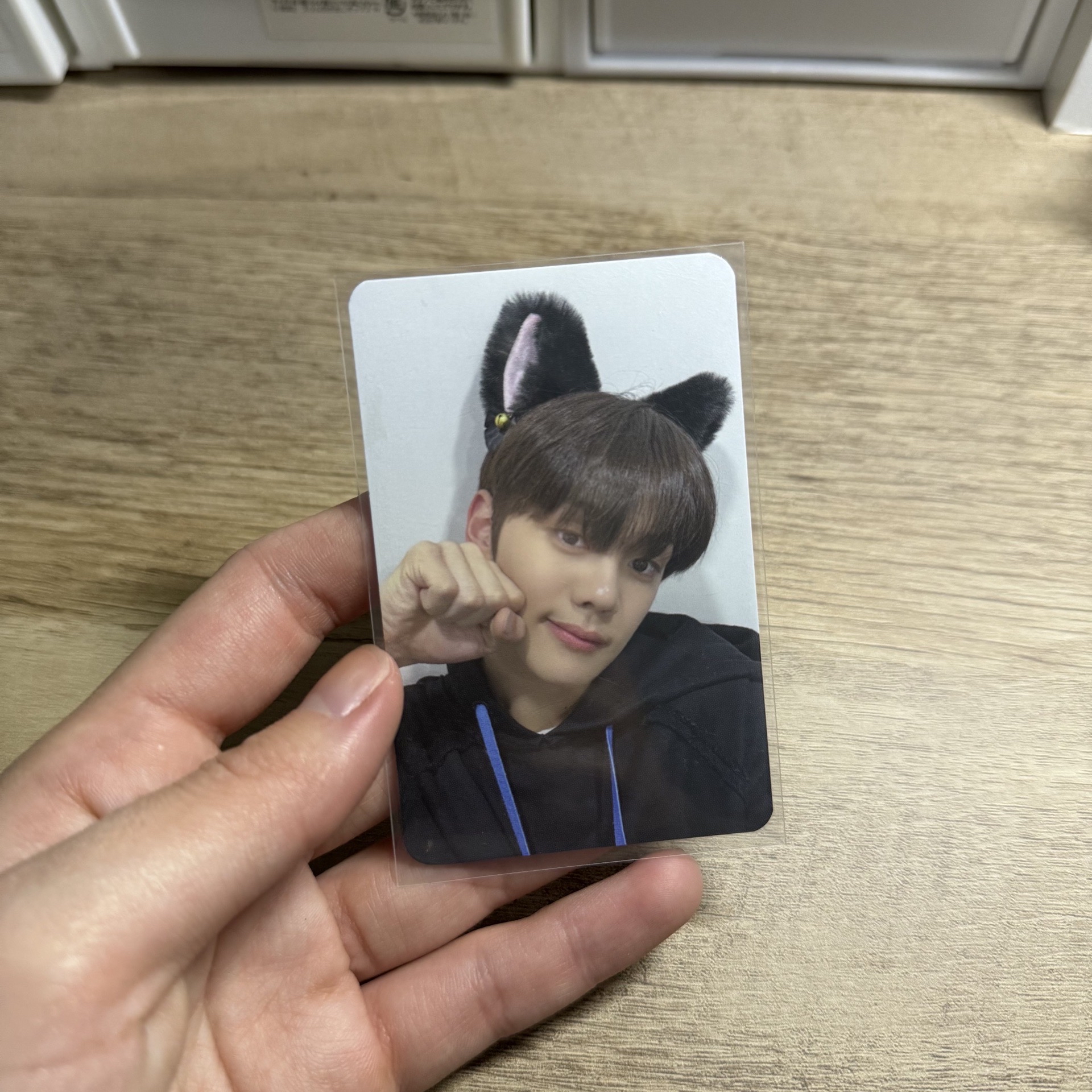 他不小狗 小奎這次是貓貓