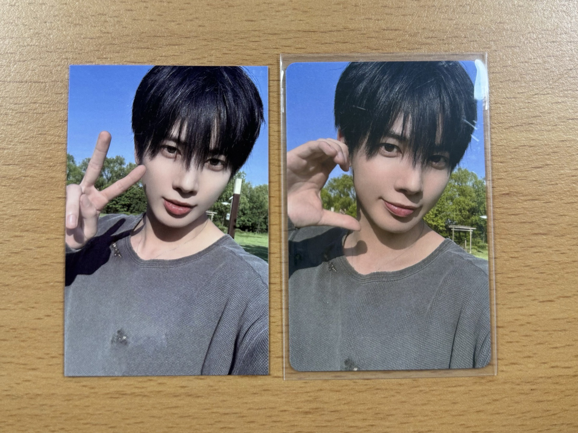 太顯 日本+臺灣MOA ZONE