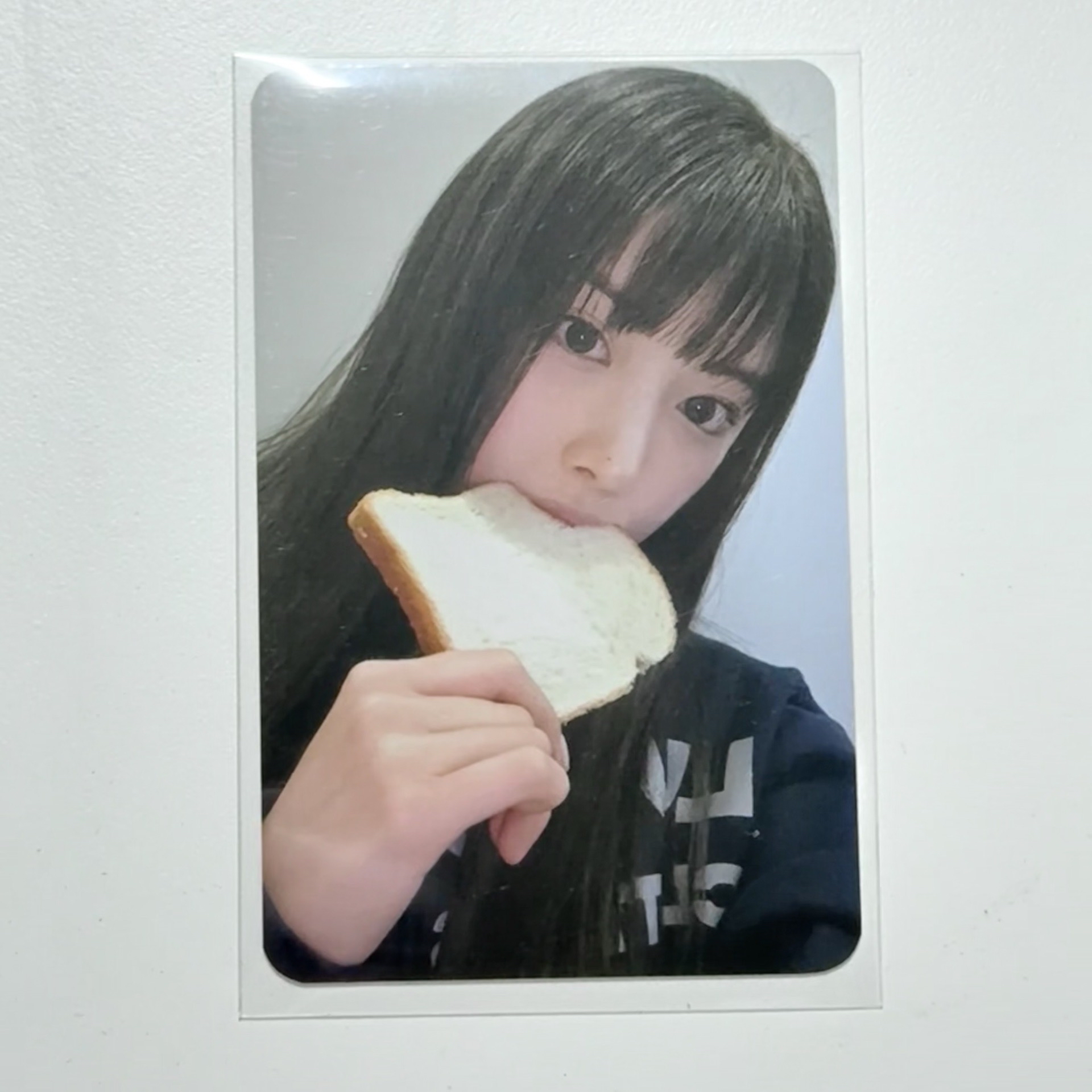 吐司友（中背）