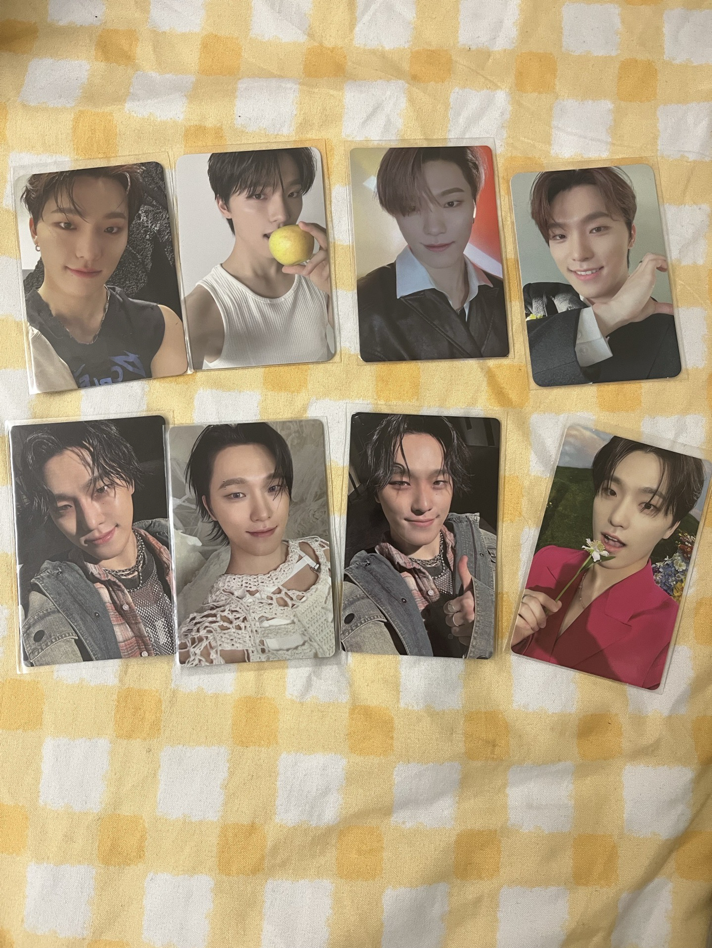 SEVENTEEN DINO 小卡