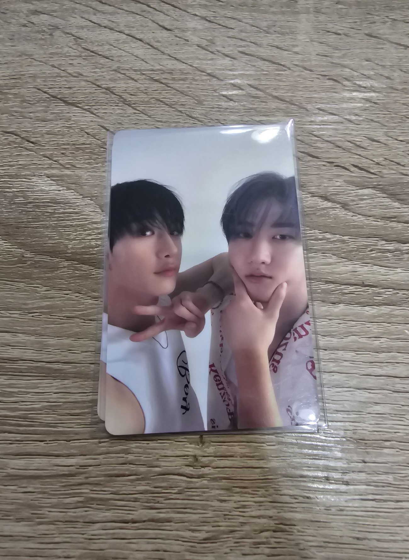 🐺🐖🐇燦彬 DICON 雜誌卡 