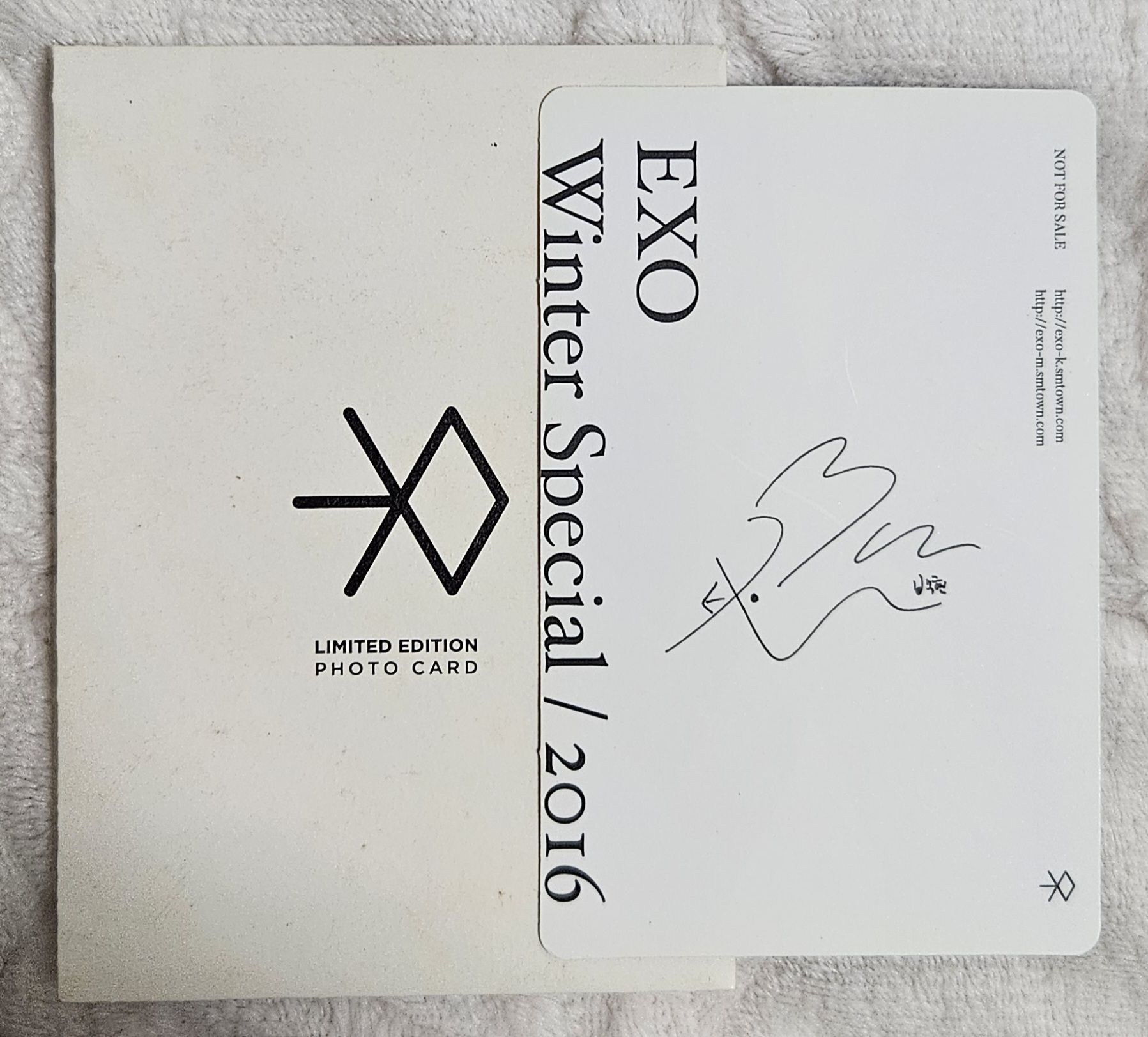EXO 冬專 FOR LIFE 伯賢 限定小卡 有損