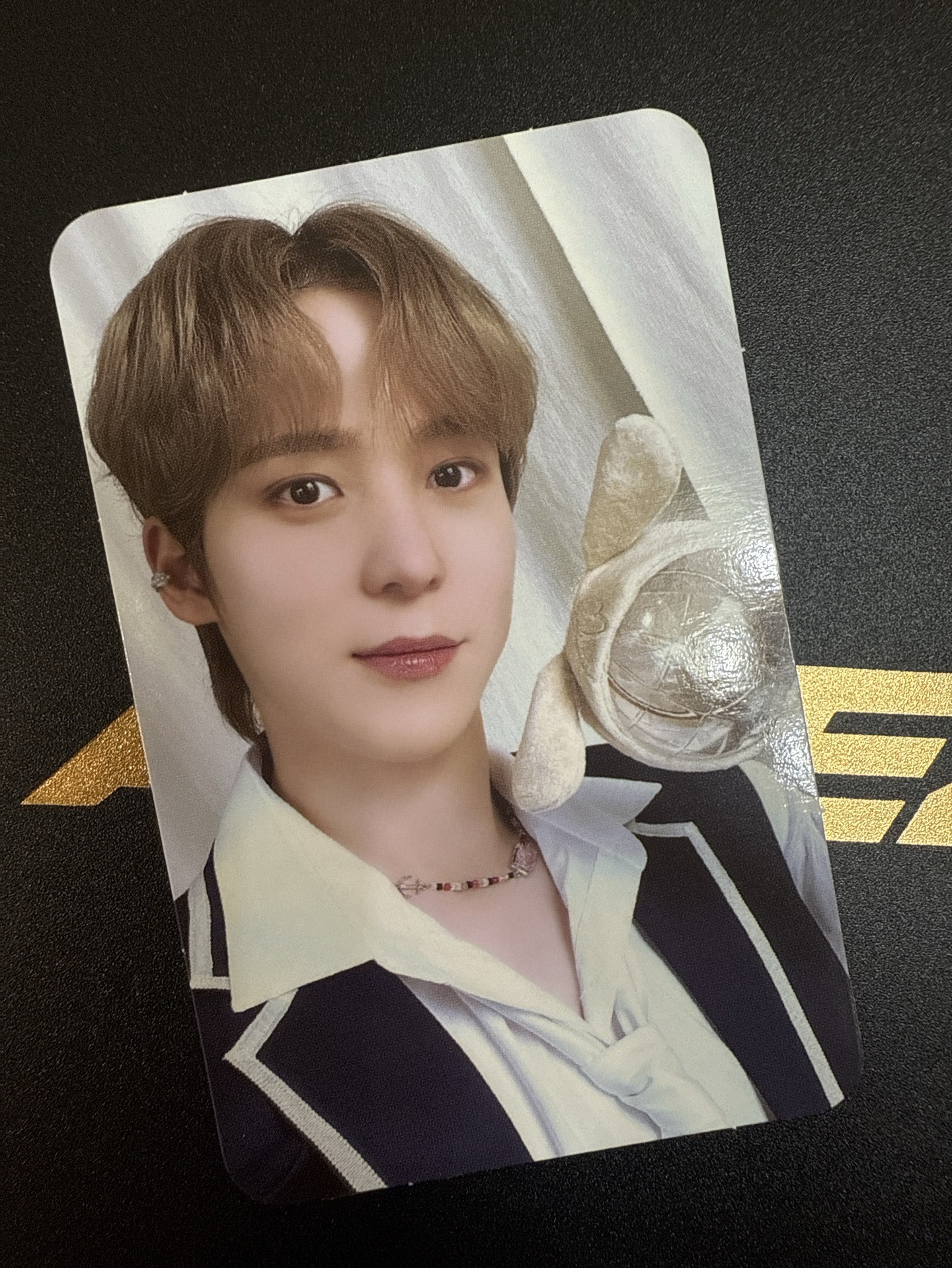 潤浩 ANITEEZ 手燈套小卡 