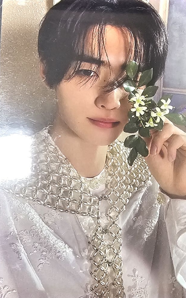 迷五 銀版訓✨️