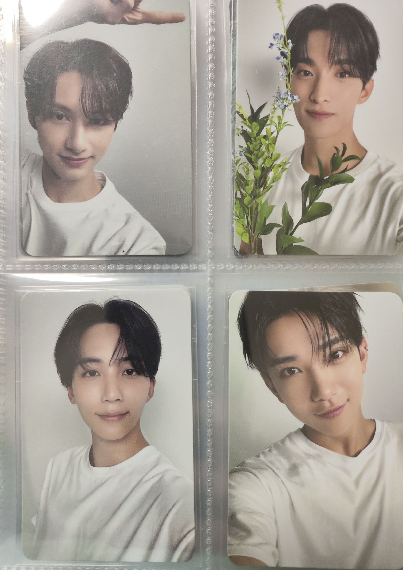 迷八 克拉盤隨機卡