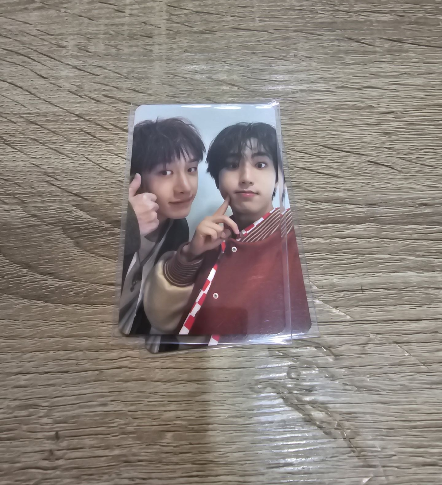 🐺🐿️燦城 四期會員禮 小卡 