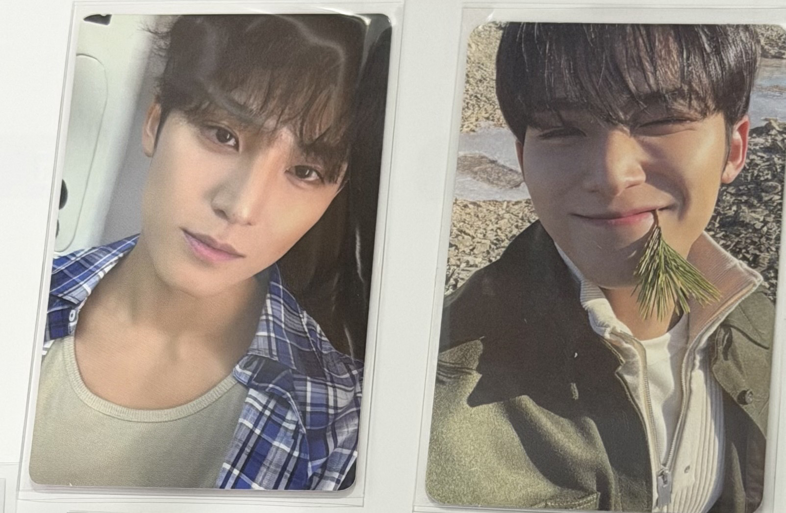 SEVENTEEN 珉奎小卡