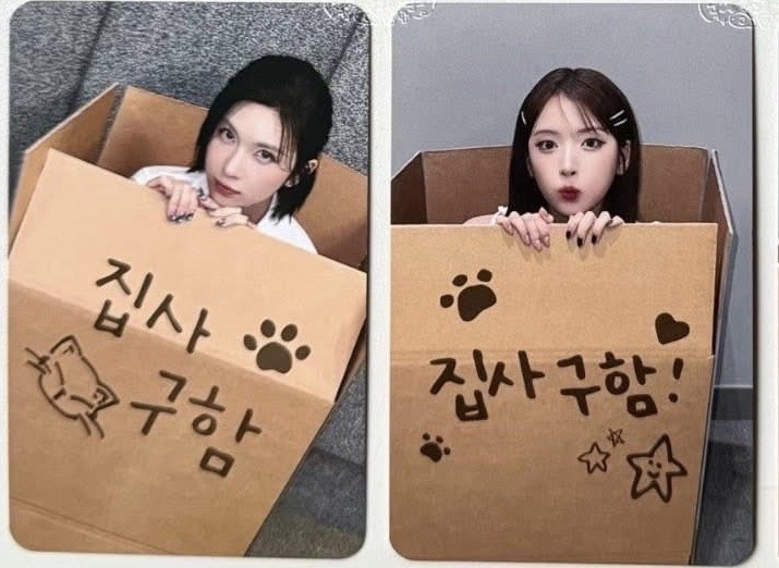 鏟屎官 記憶麵包