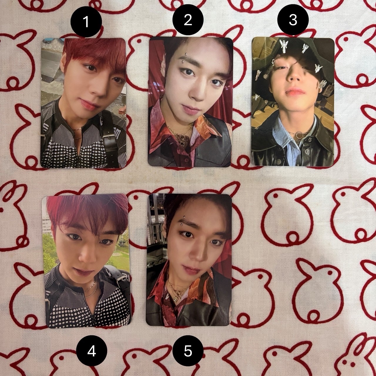 朴志訓 PARK JIHOON迷你6輯小卡