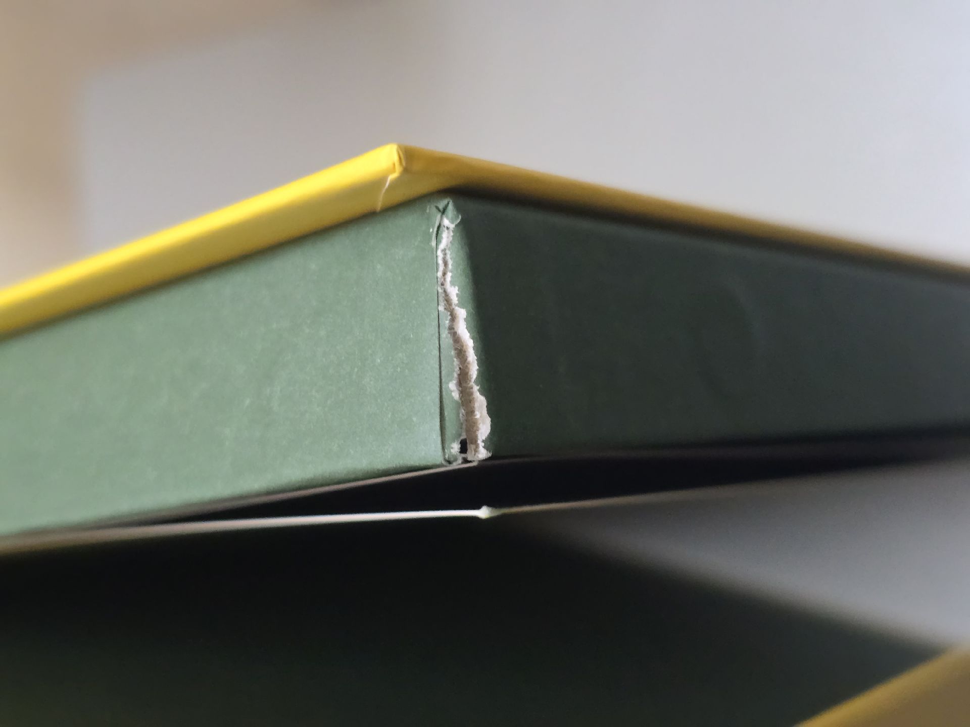 四季黃 有損空專